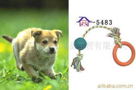 廈門安芬寵物用品工貿(mào) 精選寵物玩具產(chǎn)品列表與銷售指南
