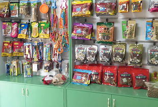 圣寵龍泉佳和銘都寵物連鎖店 一站式寵物用品銷售與服務(wù)典范