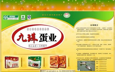 九珠蛋業 匠心傳承，自然饋贈——皮蛋與咸蛋的綠色美味